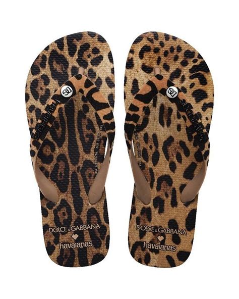 havaianas dolce gabbana buy|havaianas flip flops sale.